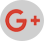 Google Icon