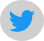 Twitter Icon