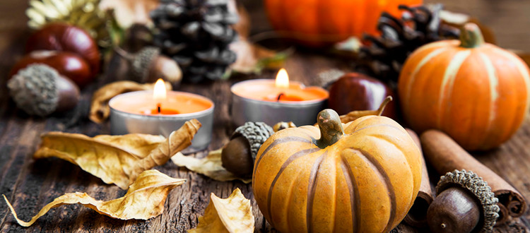 Green Energy Used On Thanksgiving