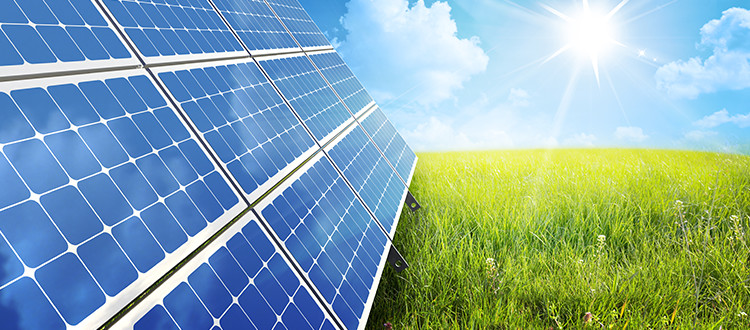 Solar Panels soaking up the sun's energy in a green field