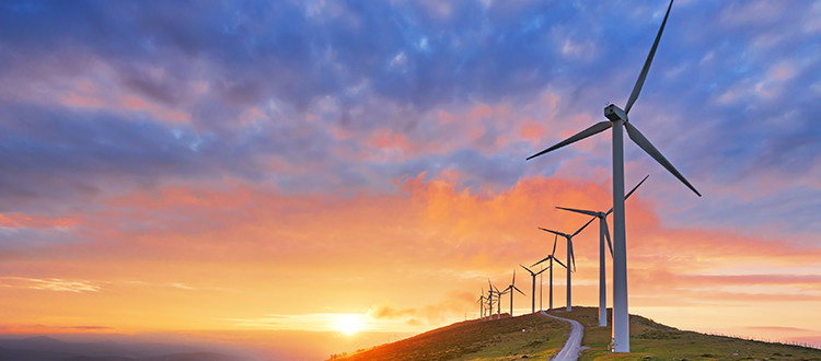 A line of wind turbines in front of a setting sun